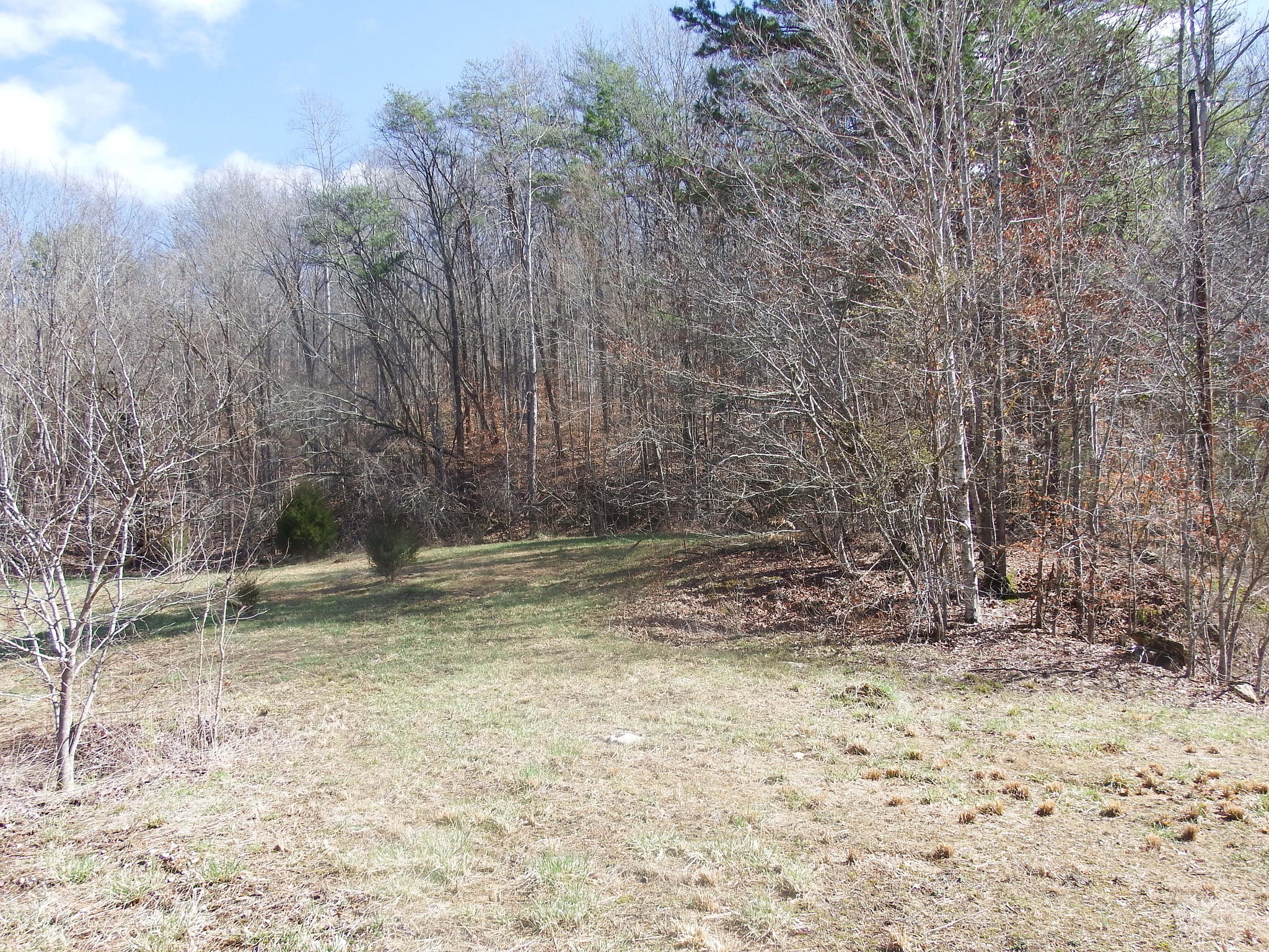 35.38 Haley Road Whitwell, TN 37397 - Photo 3 of 24 B371EC77-D17C-45B8-83FD-C1E780B202E5