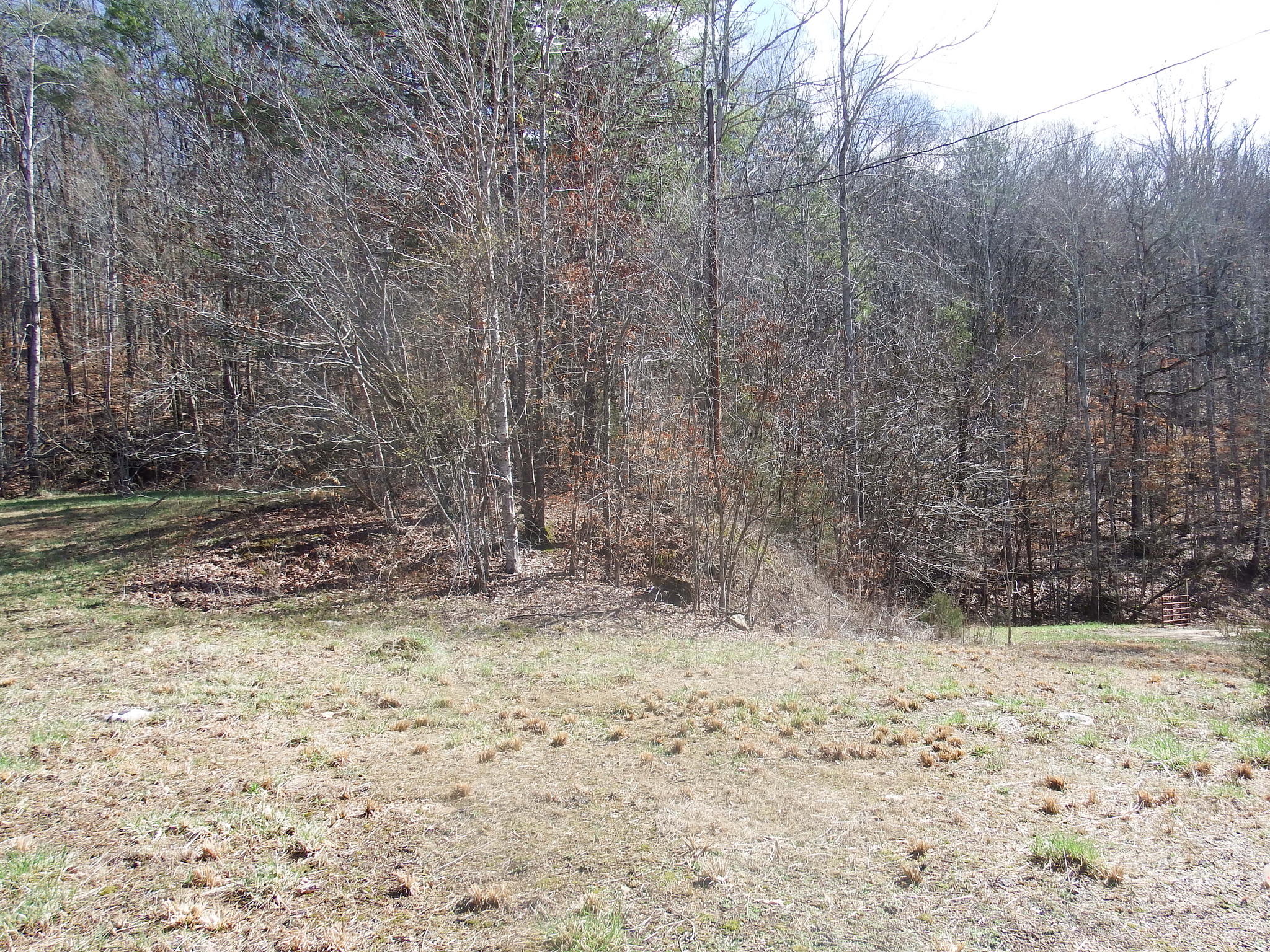 35.38 Haley Road Whitwell, TN 37397 - Photo 4 of 24 77025231-5F44-454D-8065-320C8D10D8EE