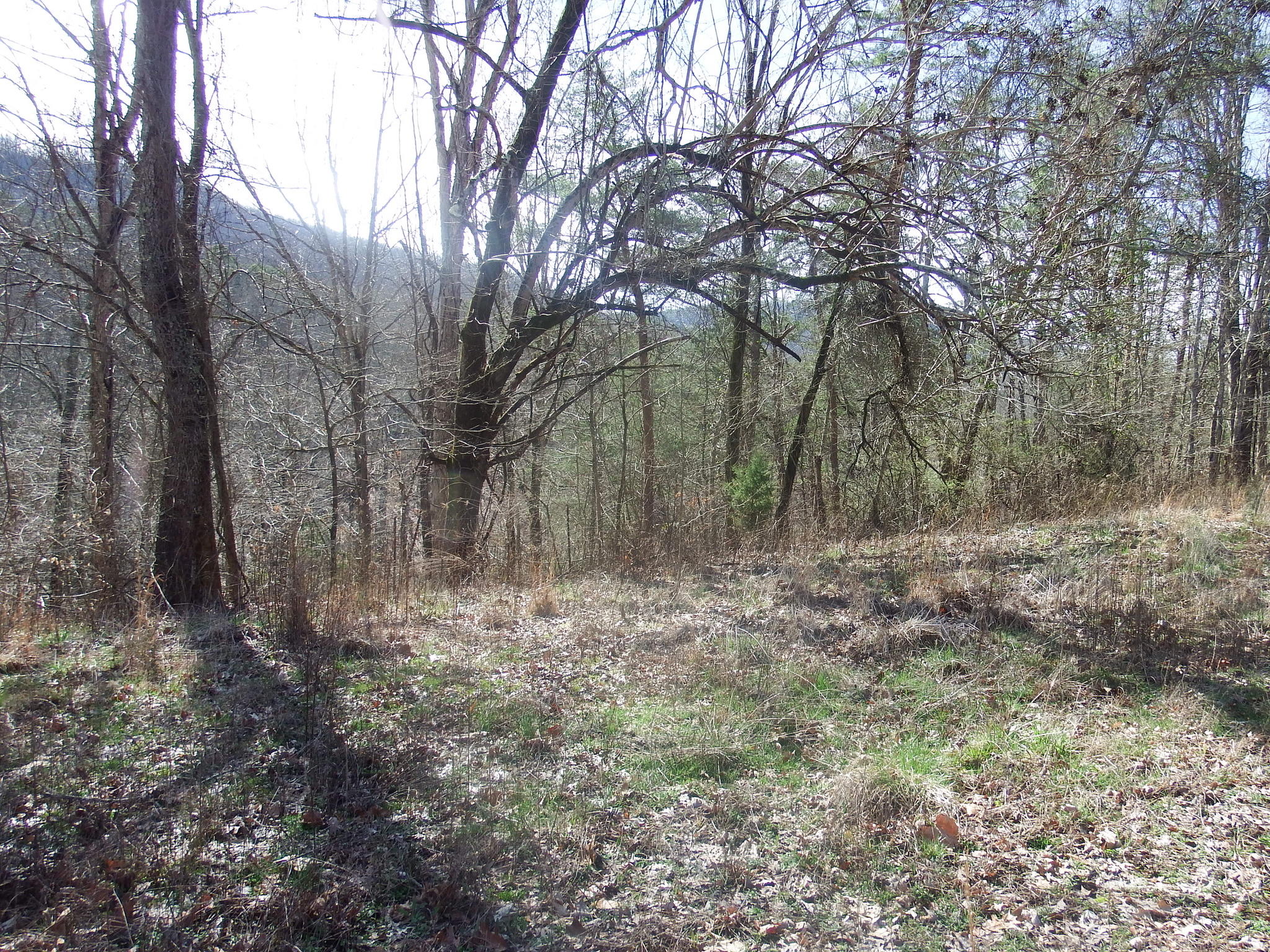 35.38 Haley Road Whitwell, TN 37397 - Photo 5 of 24 20C22053-71C0-490D-A5A2-6E355D776C63
