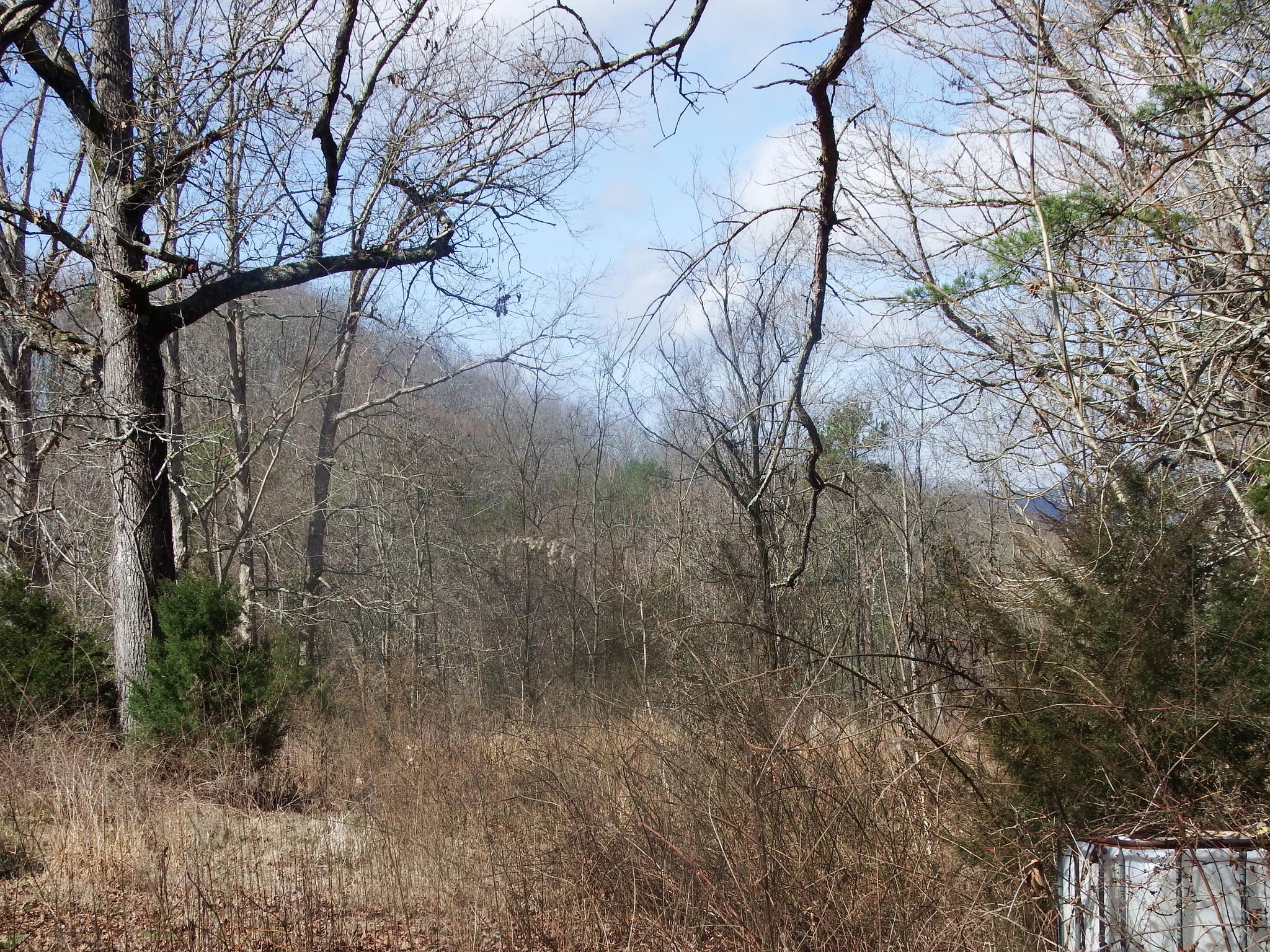 35.38 Haley Road Whitwell, TN 37397 - Photo 8 of 24 1A003BFF-8D78-47AF-A7E1-5DC412C2930D