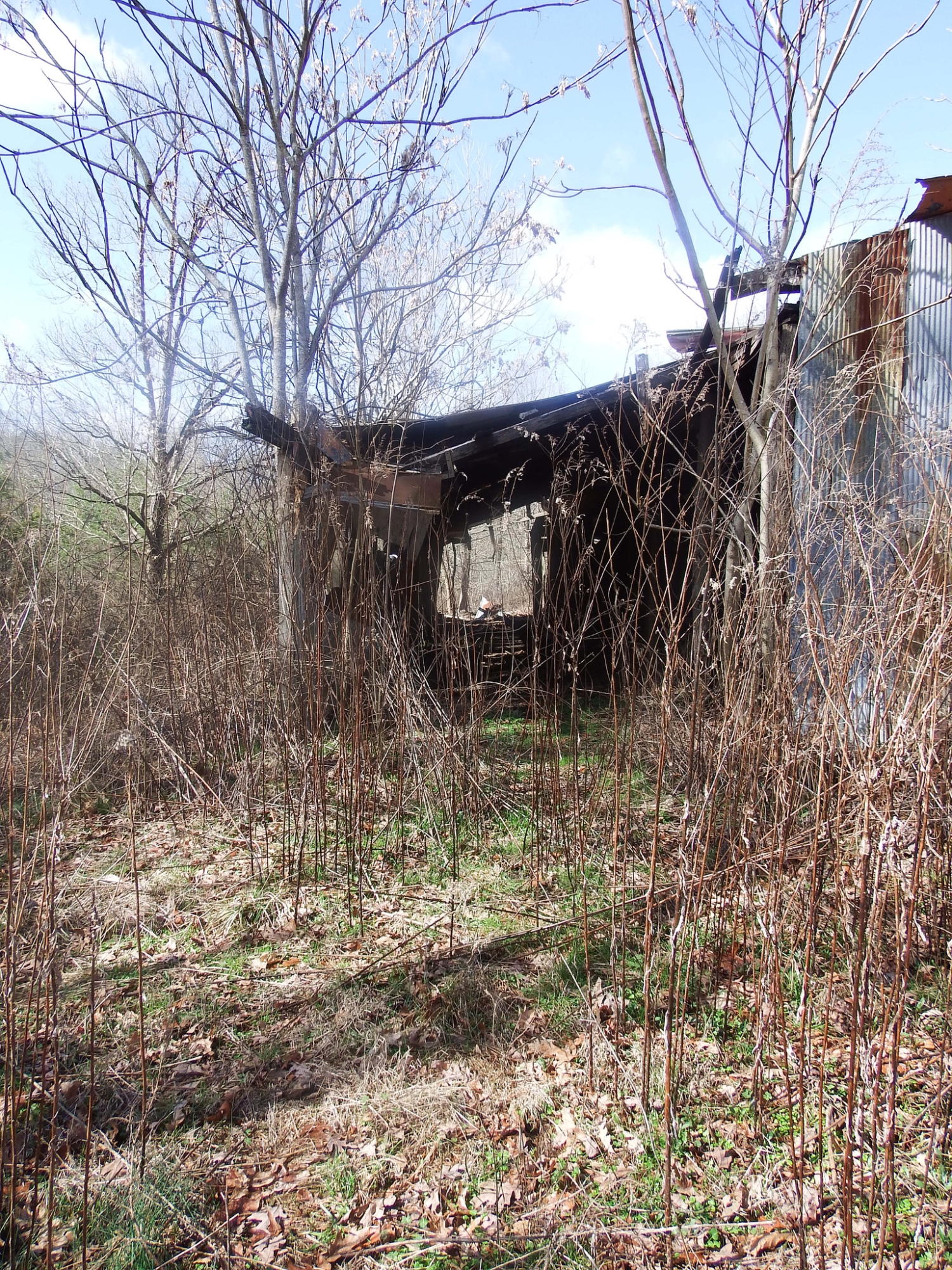 35.38 Haley Road Whitwell, TN 37397 - Photo 10 of 24 682BC975-D6B6-44CA-A6FD-AFE2A4BD53C5