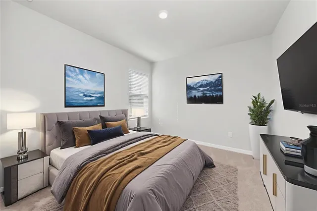 a bedroom with bed tv and window