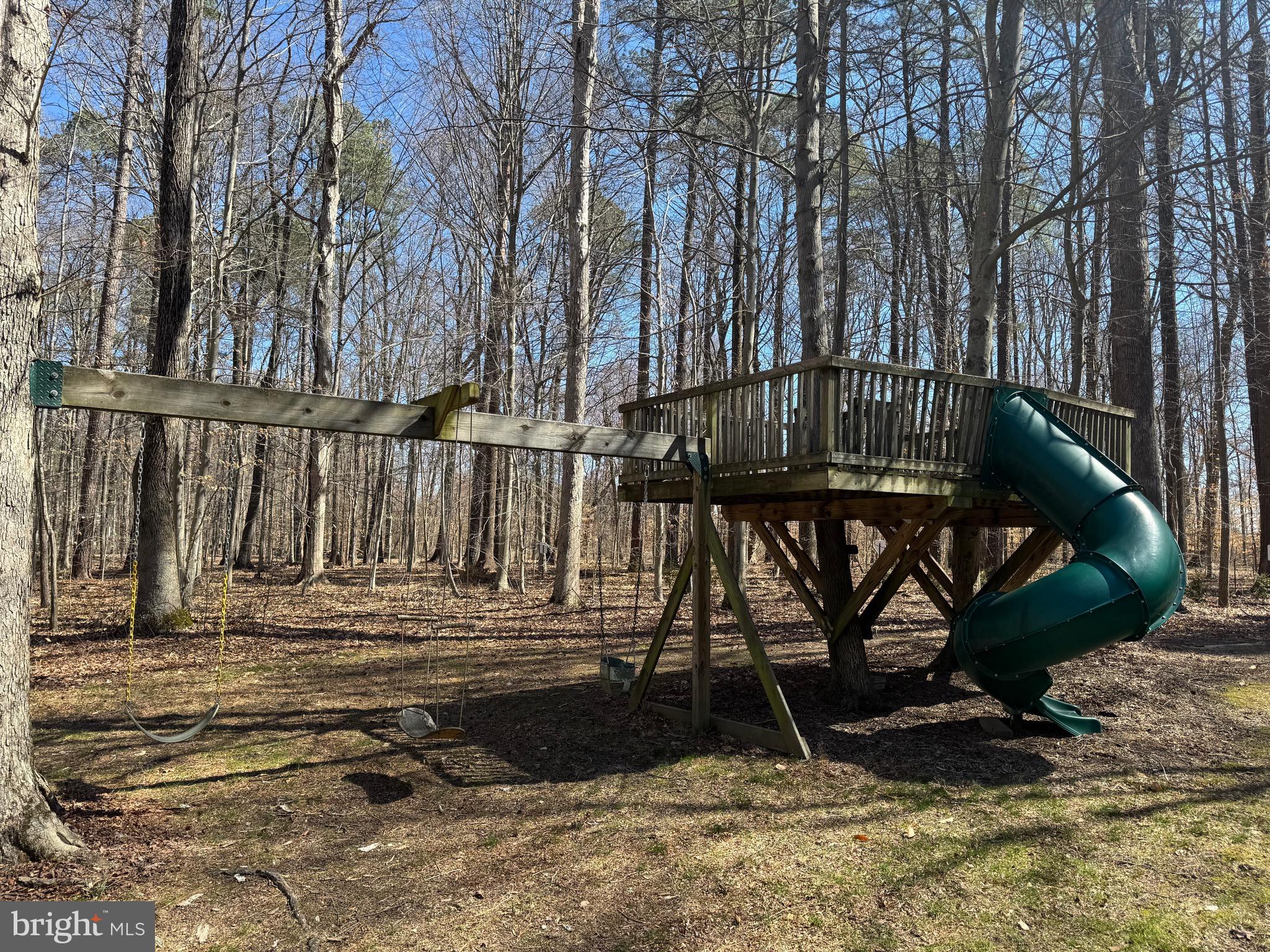 332 Dulin Clark Road Centreville, MD 21617 - Photo 58 of 58 Jungle Gym