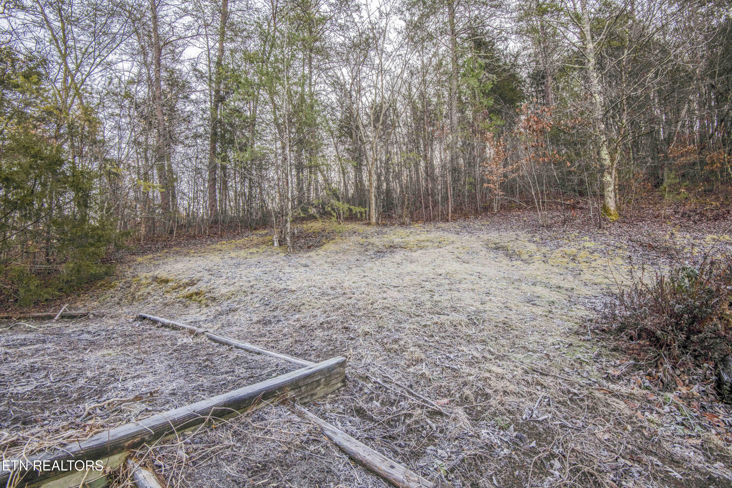 3188 Laws Chapel Road Maryville, TN 37803 - Photo 25 of 30 yard 1_1