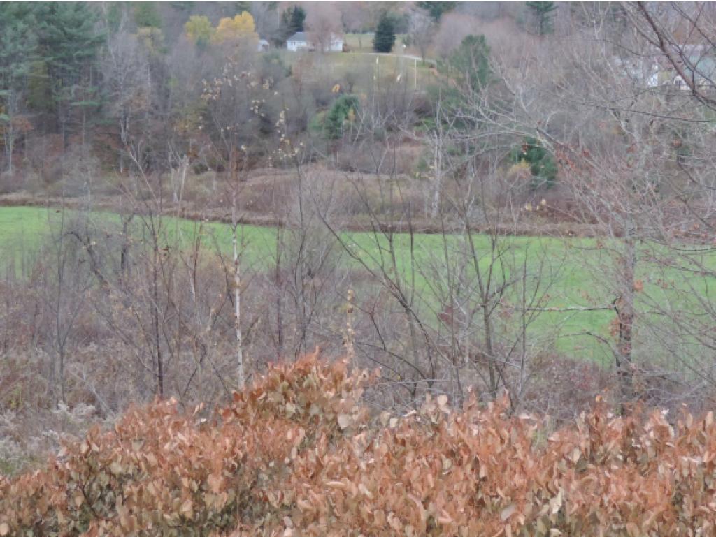 95 McCoy Road Tinmouth, VT 05774 - Photo 8 of 28 Gallery Image 8