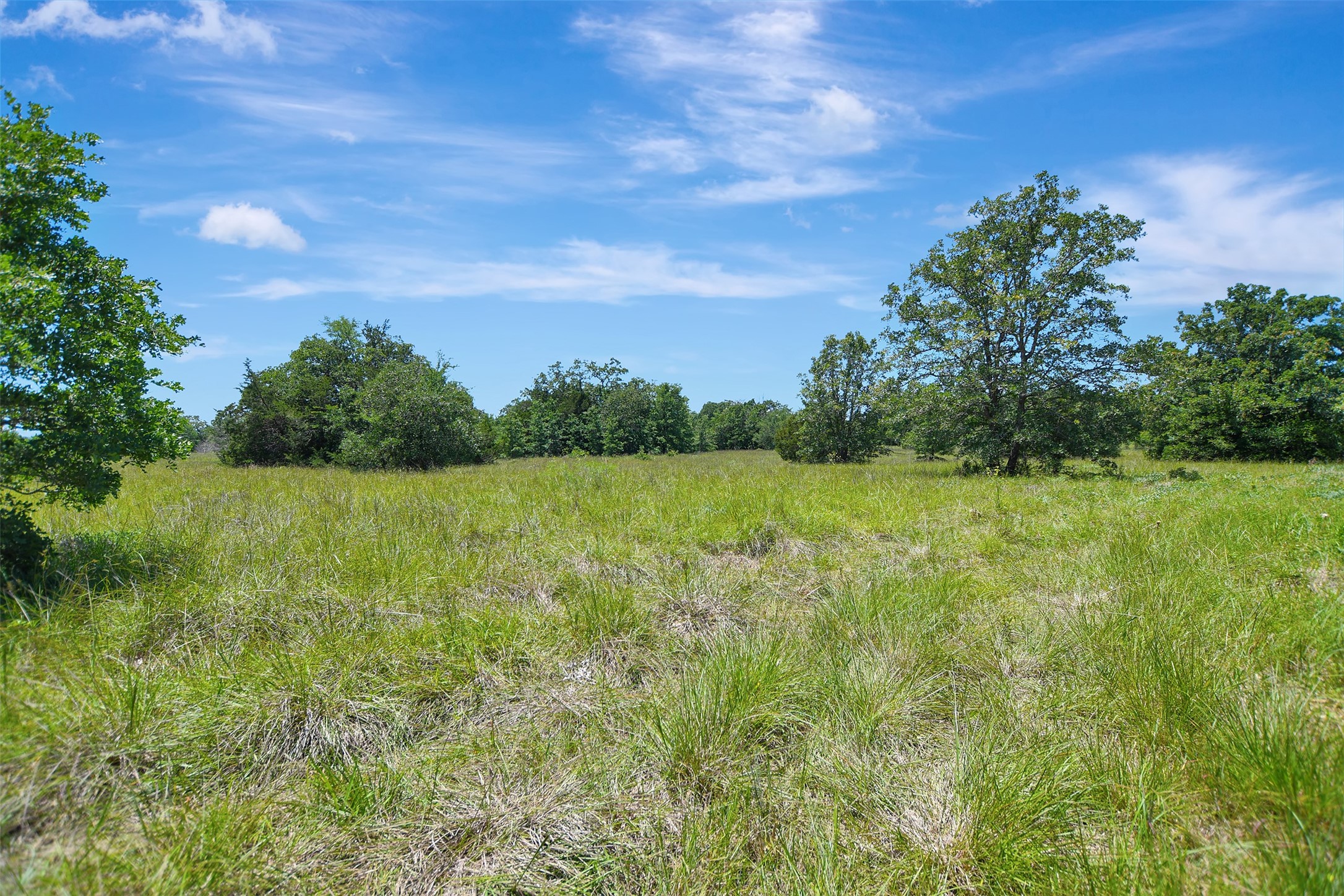 7629 Oxford Cemetery Road Madisonville, TX 77864 - Photo 12 of 12
