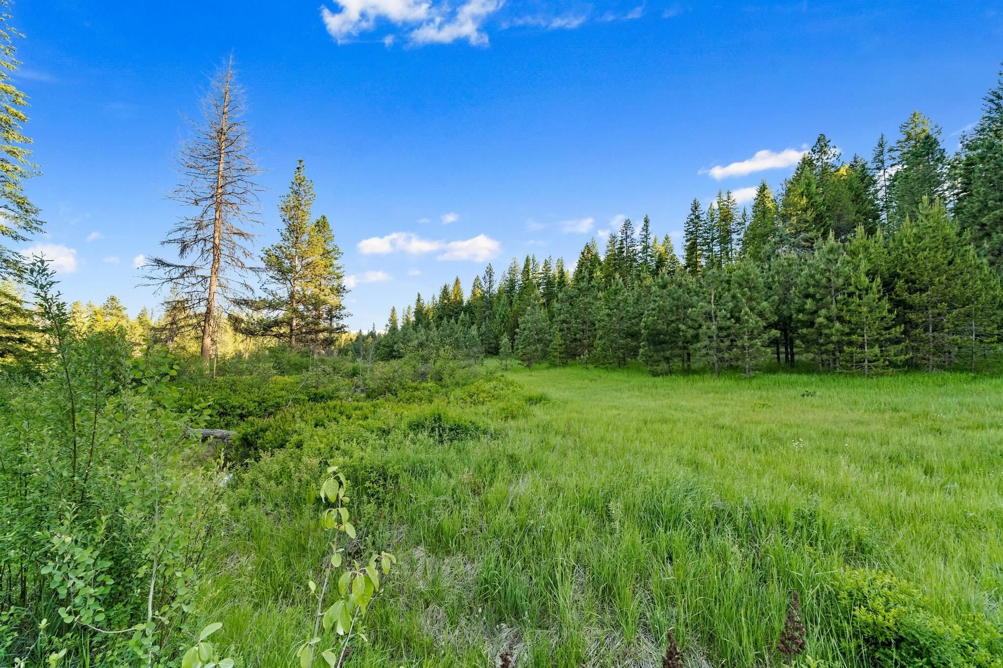 5266 Bear Ridge Way Springdale, WA 99173 - Photo 29 of 31