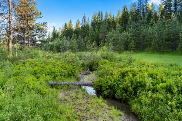 $475,000 | 5266 Bear Ridge Way, Springdale, WA 99173