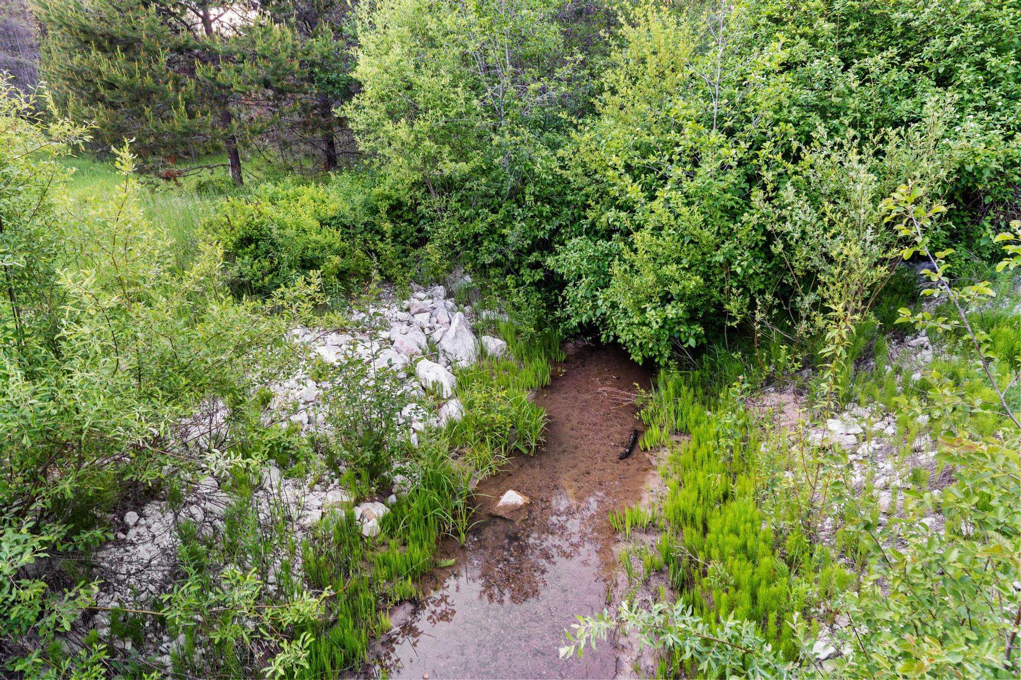 5266 Bear Ridge Way Springdale, WA 99173 - Photo 31 of 31