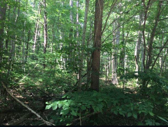 2251 Little Bend Road Signal Mountain, TN 37377 - Photo 3 of 11 20190617165120151661000000-o