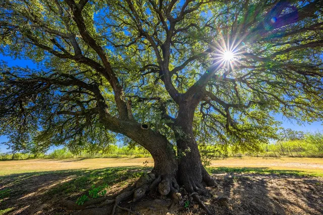 $750,000 | 1316 North Mary Street, Comanche, TX 76442