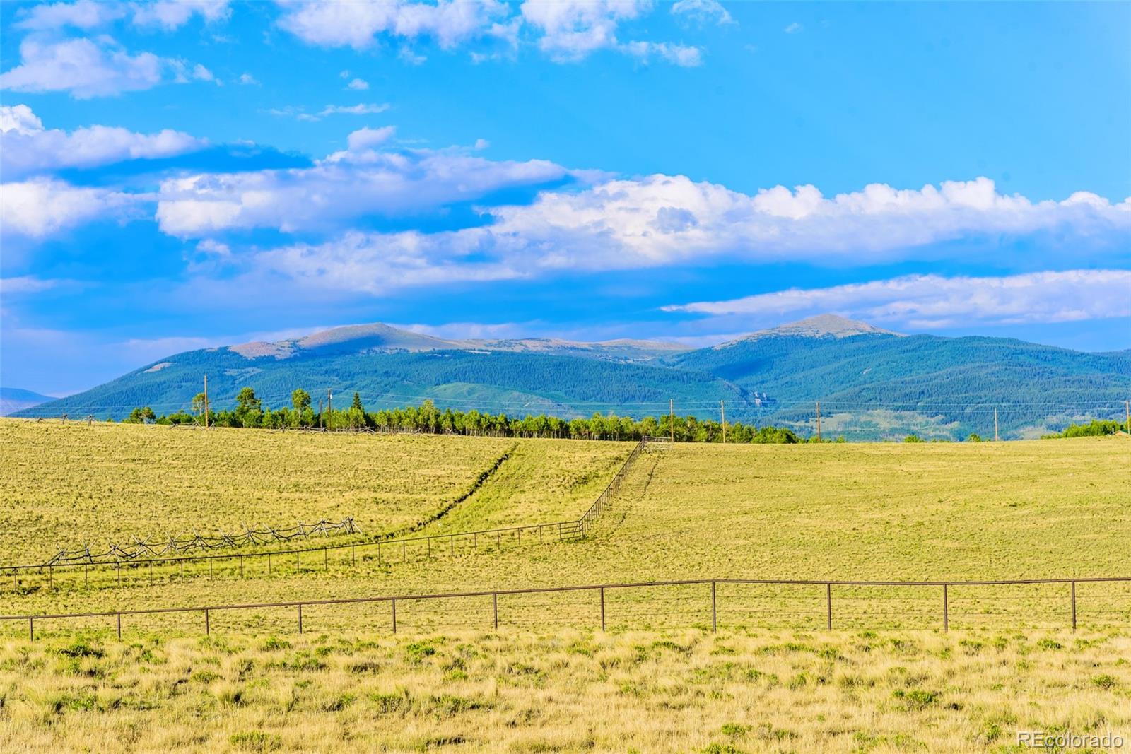 322 Red Hill Road Jefferson, CO 80456 - Photo 31 of 40 Gallery Image 31