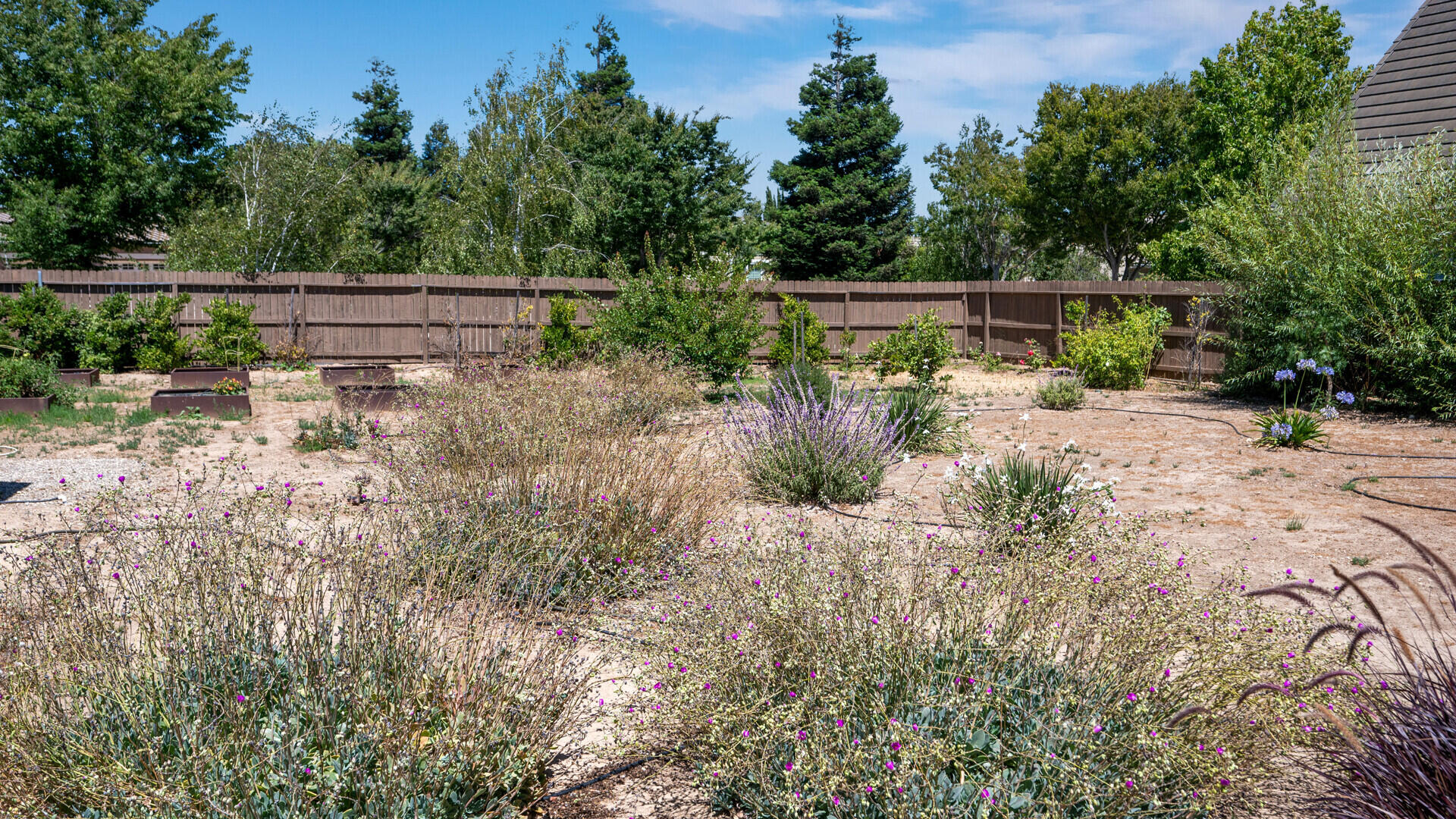 528 Myrtle Court Solvang, CA 93463 - Photo 30 of 32 528 Myrtle Court