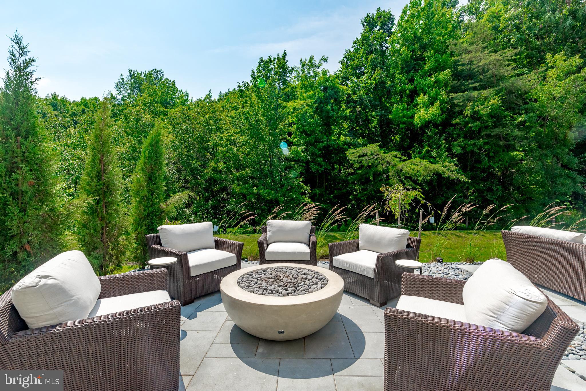3081 Spring Peeper Court Odenton, MD 21113 - Photo 4 of 73 Gas fire bowl