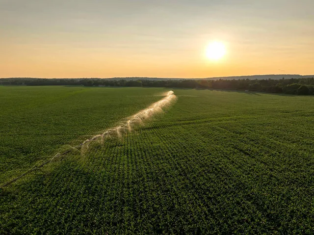 $1 | 1-120.44± Acres 1-120.44± Acres Land Auction, Iola, WI 54945