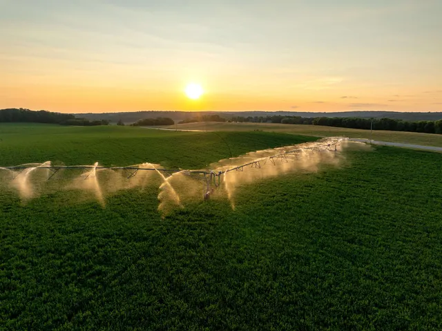 $1 | 1-120.44± Acres 1-120.44± Acres Land Auction, Iola, WI 54945