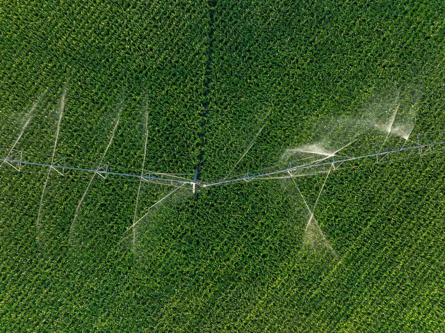 $1 | 1-120.44± Acres 1-120.44± Acres Land Auction, Iola, WI 54945