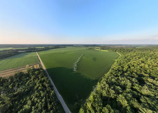 $1 | 1-120.44± Acres Land Auction, Iola, WI 54945