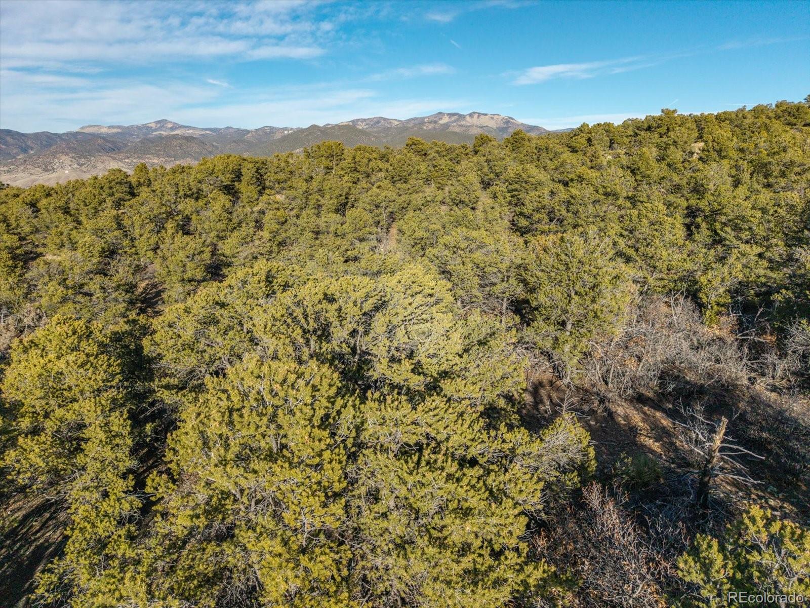 5450 Longbranch Road Salida, CO 81201 - Photo 17 of 28 a view of a mountain