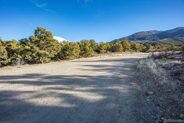 a view of a wooden bench under a large tree