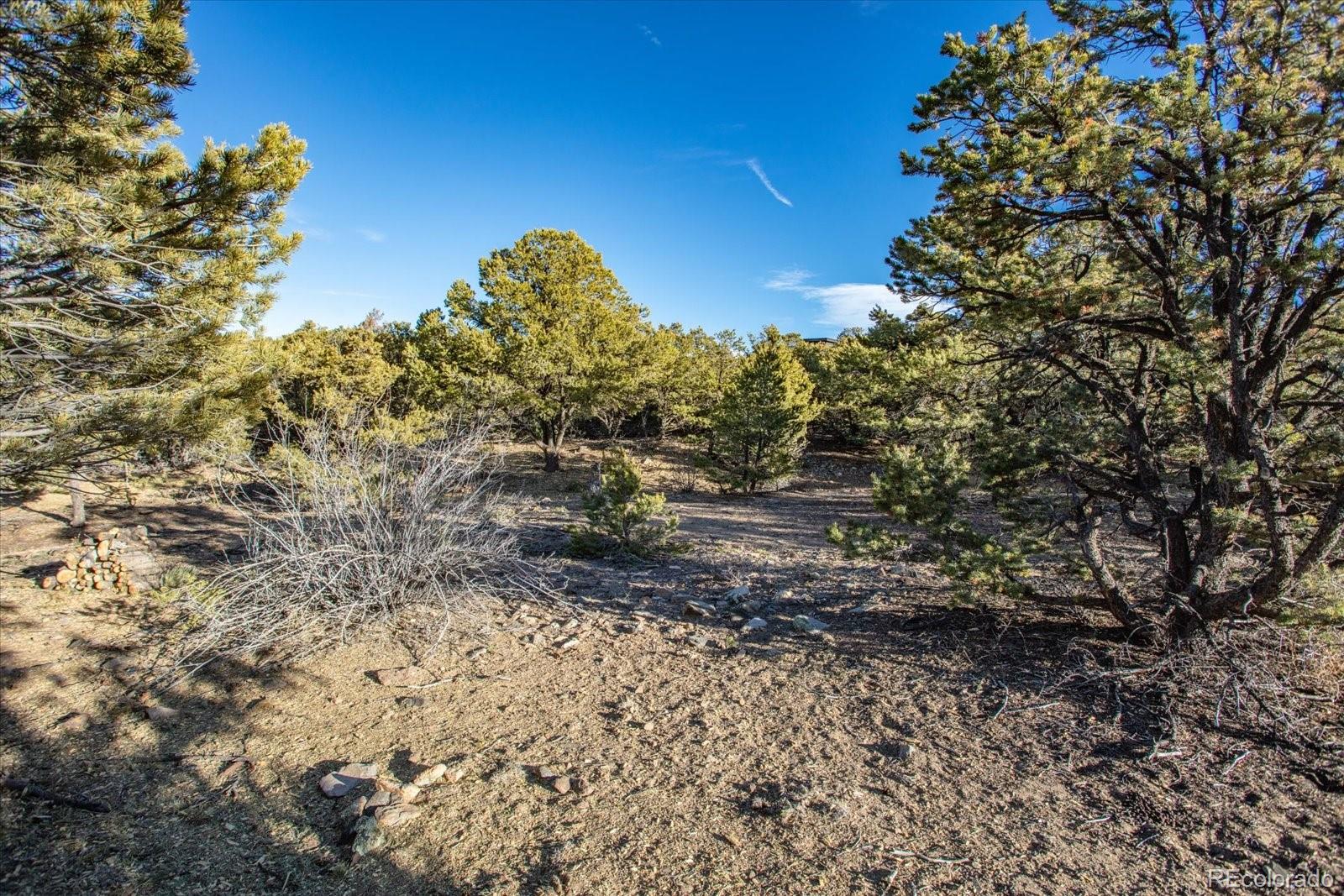 5450 Longbranch Road Salida, CO 81201 - Photo 21 of 28 a view of a yard with a tree