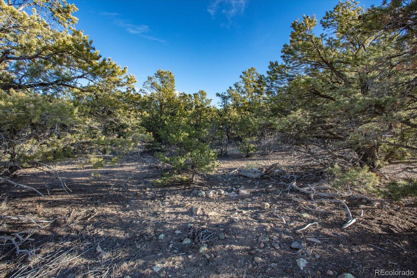5450 Longbranch Road Salida, CO 81201 - Photo 24 of 28 a view of a yard with a tree