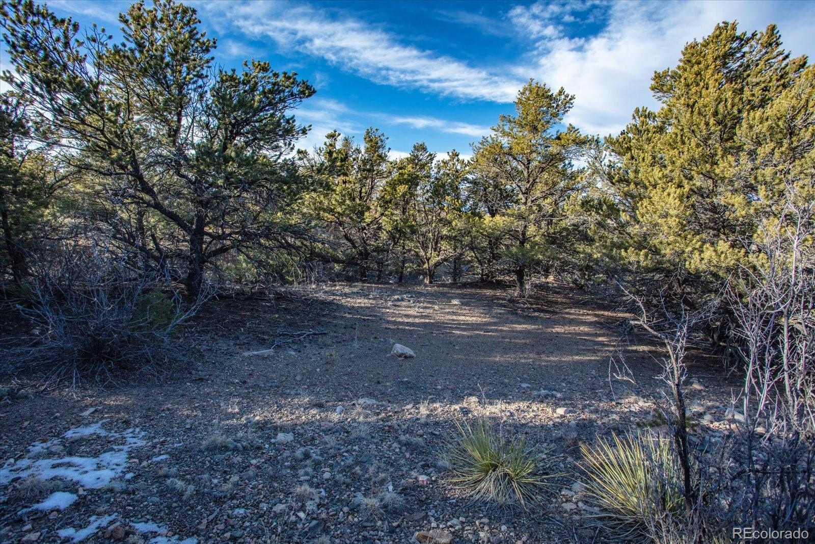 5450 Longbranch Road Salida, CO 81201 - Photo 25 of 28 a view of a yard with a tree