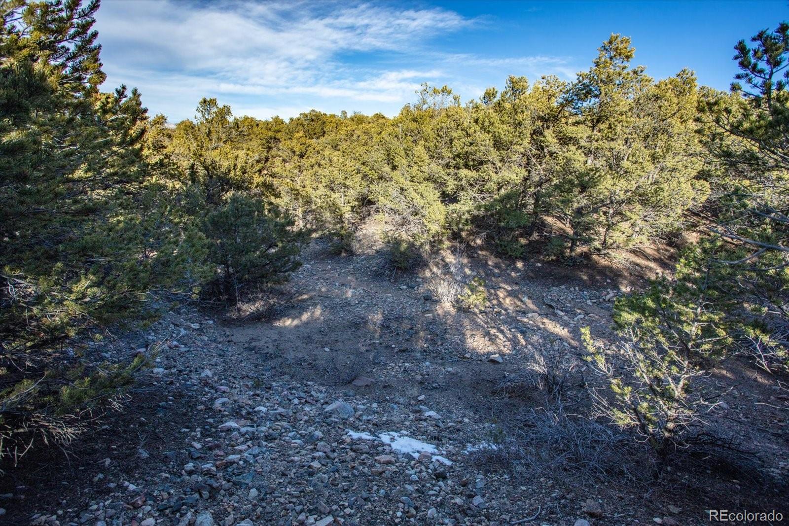 5450 Longbranch Road Salida, CO 81201 - Photo 26 of 28 a view of a large yard with lots of trees
