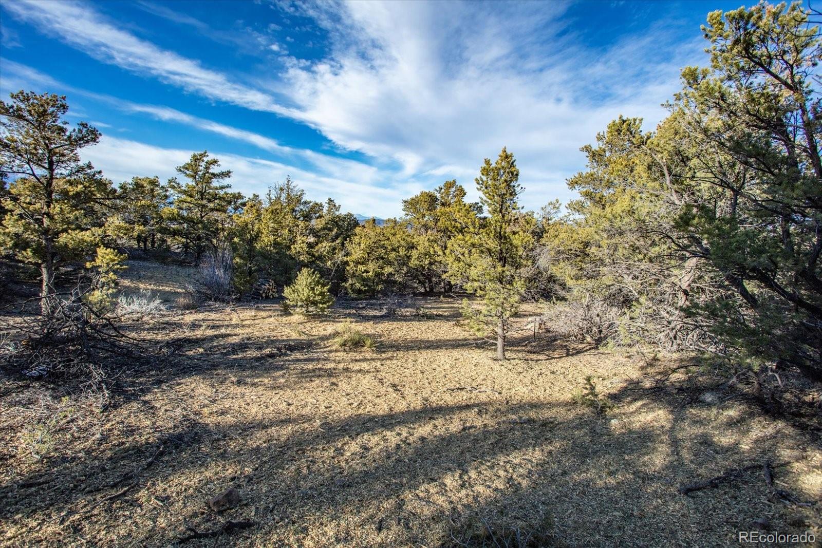 5450 Longbranch Road Salida, CO 81201 - Photo 4 of 28 a view of mountain view with trees in the background