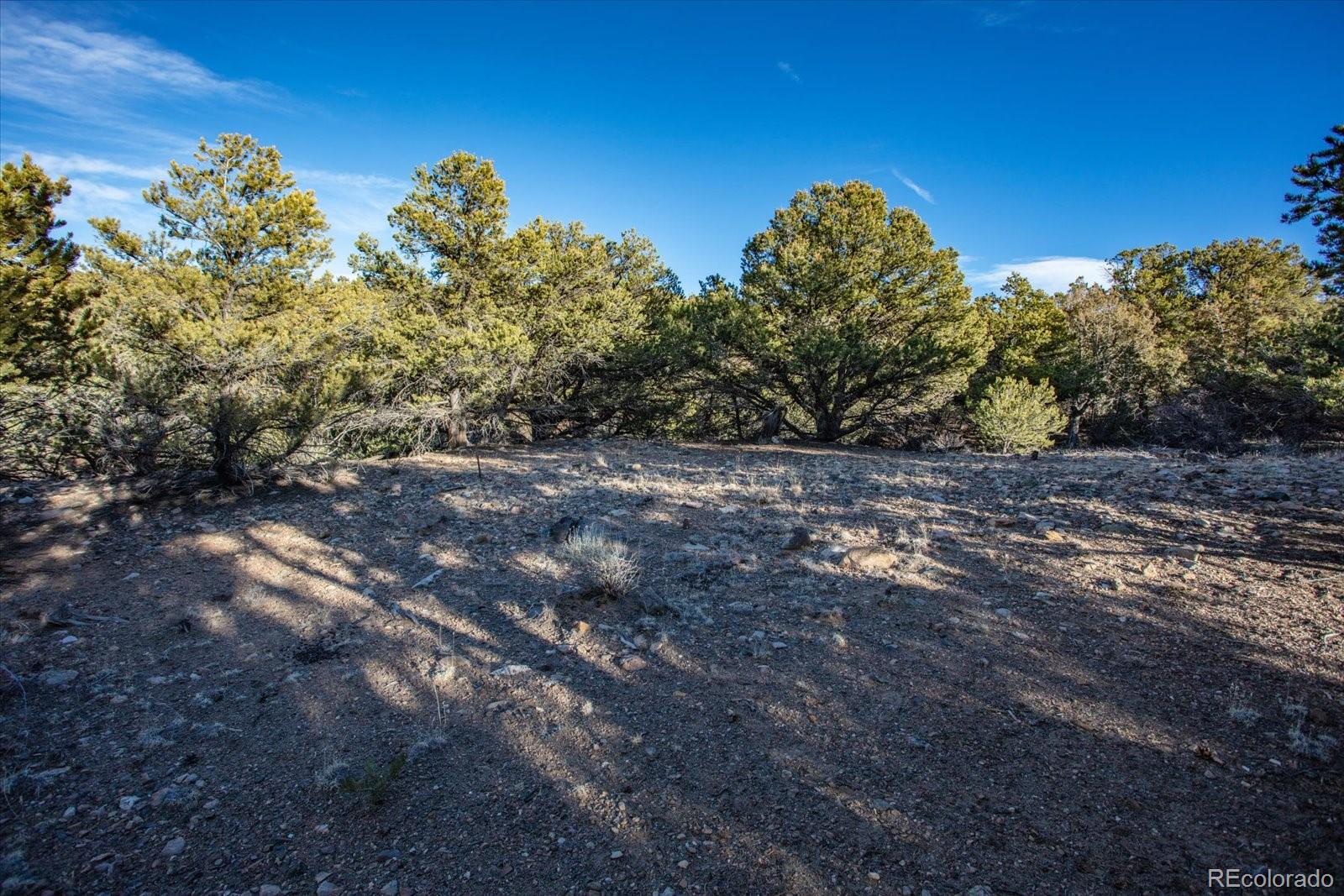 5450 Longbranch Road Salida, CO 81201 - Photo 5 of 28 a backyard of a house