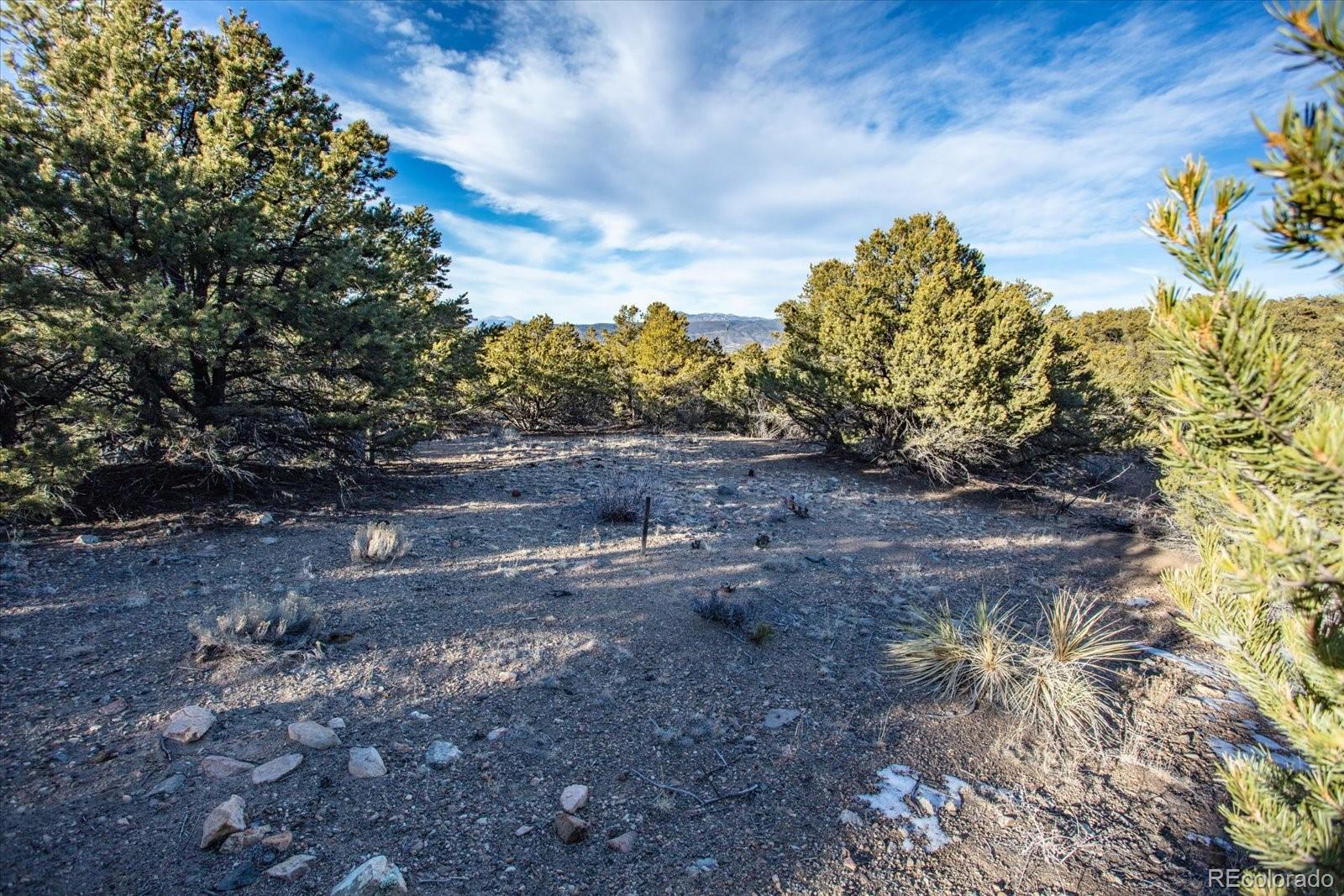 5450 Longbranch Road Salida, CO 81201 - Photo 6 of 28 a backyard of a house