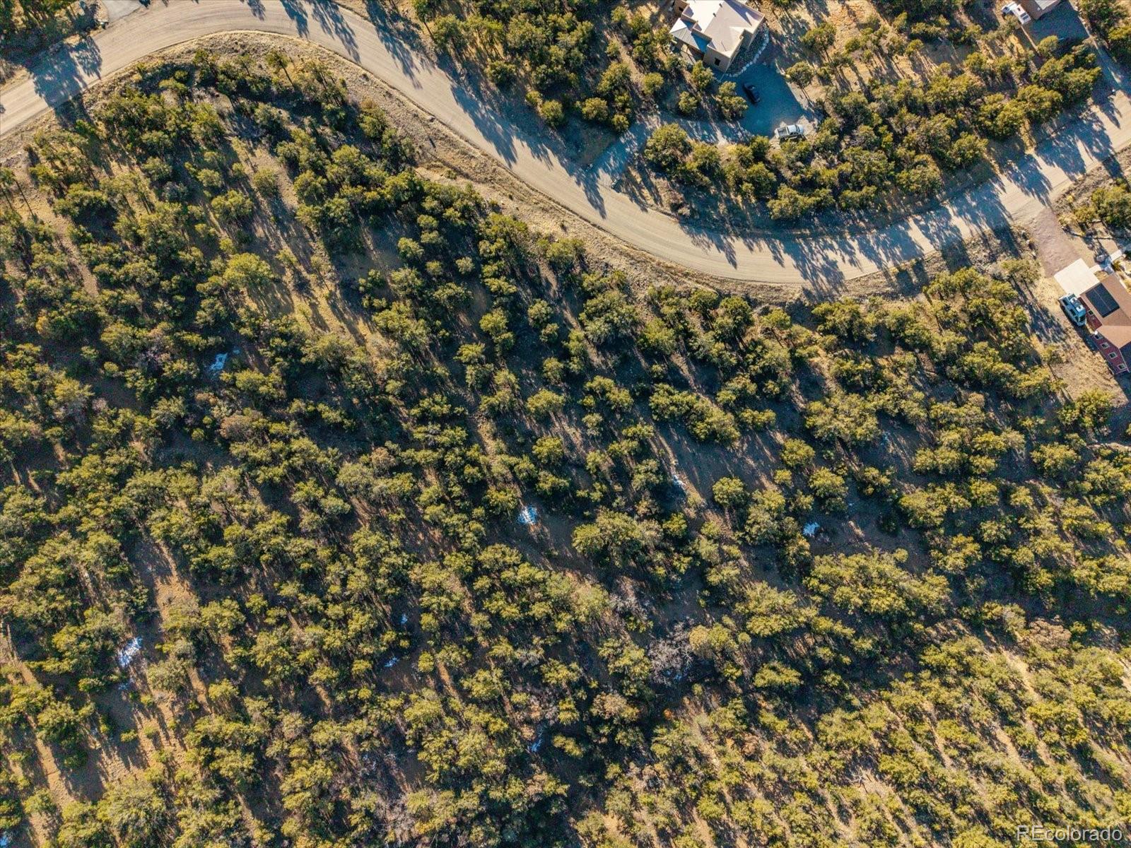 5450 Longbranch Road Salida, CO 81201 - Photo 9 of 28 a view of a tree