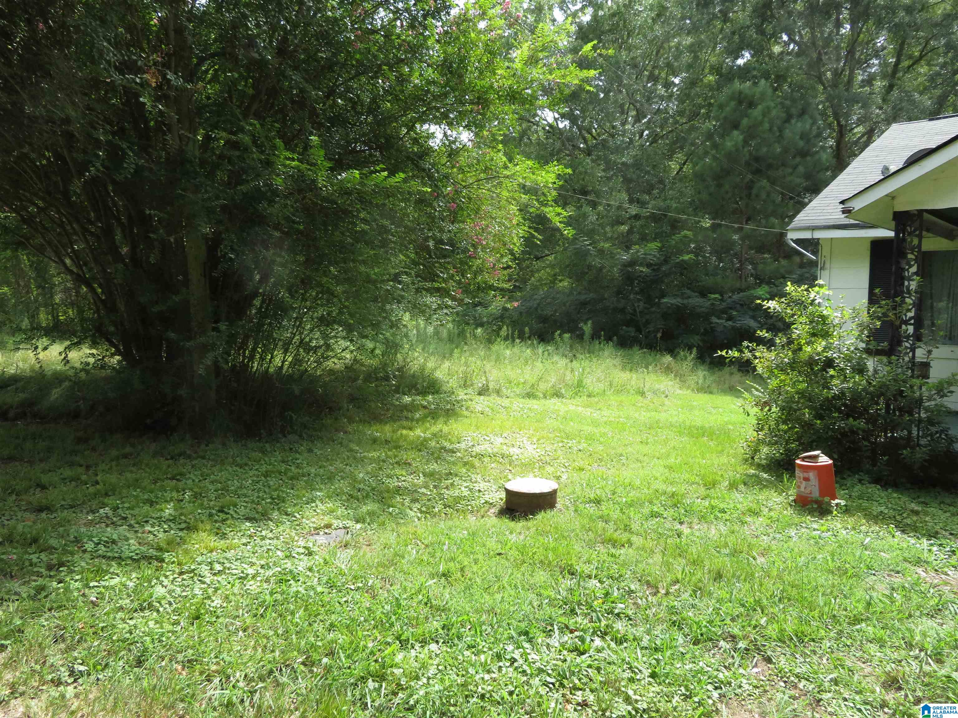 19410 Abernant Loop Vance, AL 35490 - Photo 7 of 28