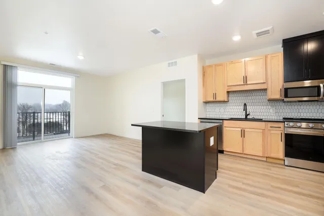 $1,900 | 28 7th Street Northeast, Unit FORGE, Rochester, MN 55906