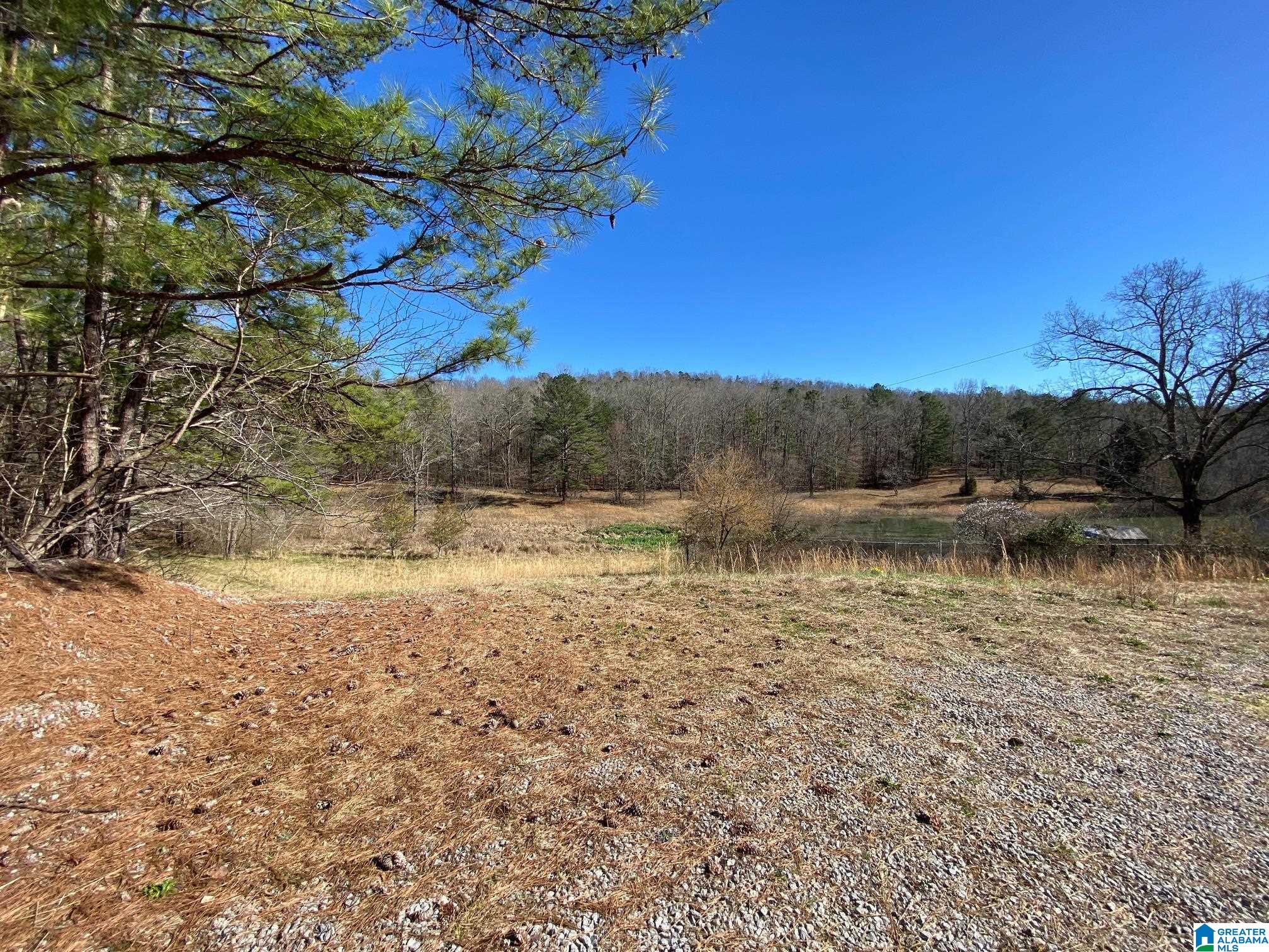 195 Wyatt Lake Road Odenville, AL 35120 - Photo 16 of 16