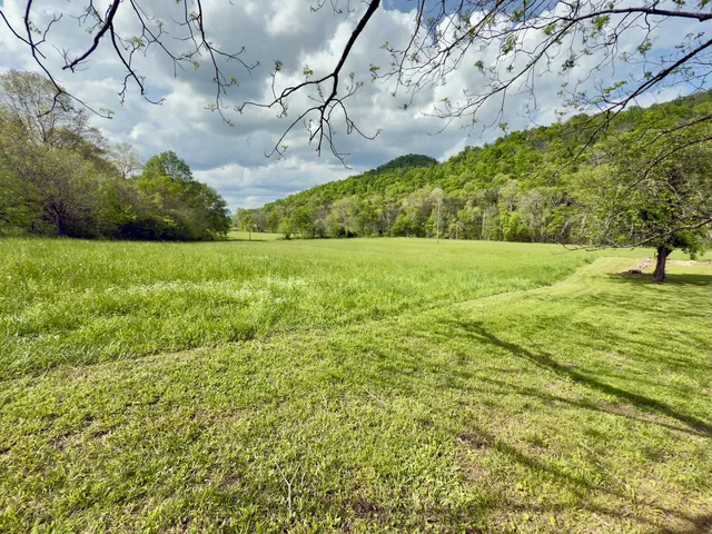 a view of a backyard with swimming pool
