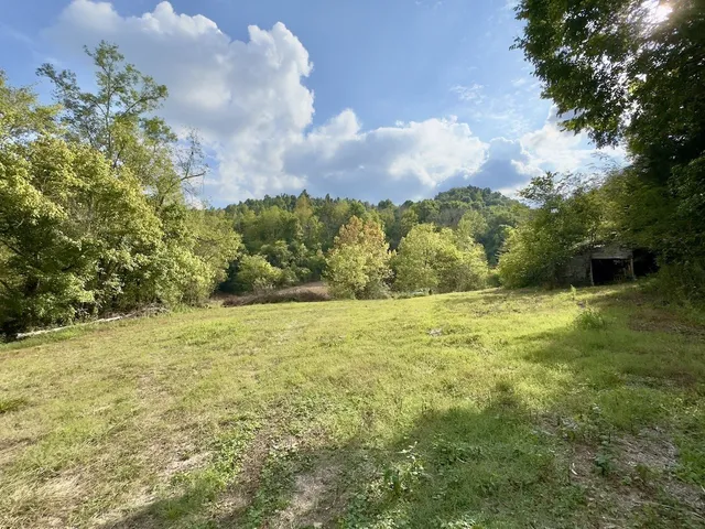 a vase of flowers sitting on a table