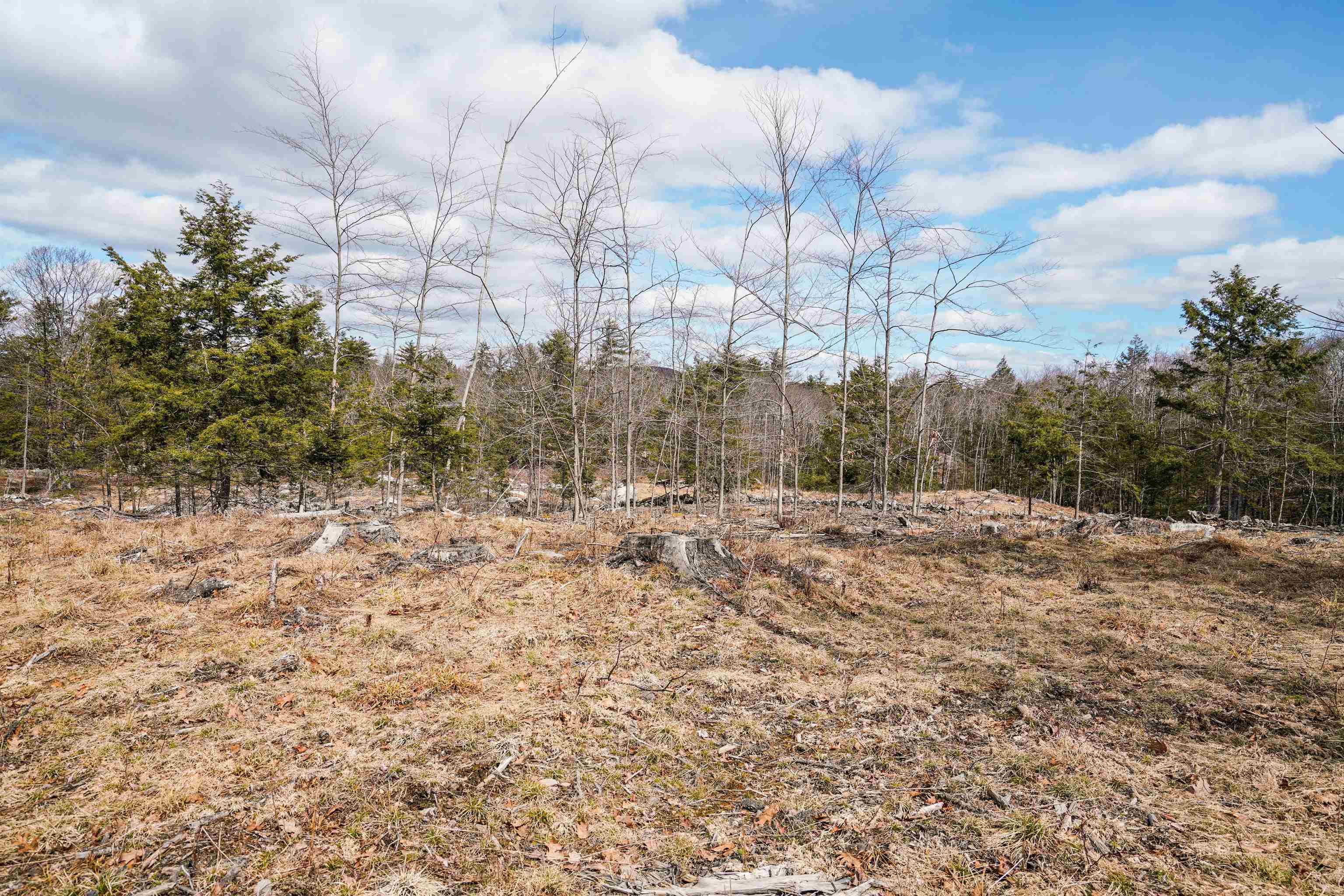 15-32-1-4 Chestnut Hill Road New Boston, NH 03070 - Photo 24 of 25