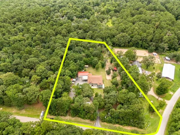 a view of a yard with plants