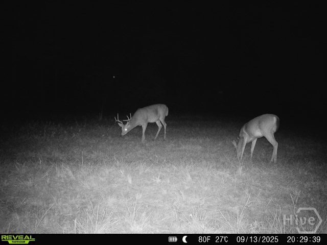 0 Tillman Eason Road Claxton, GA 30417 - Photo 21 of 28
