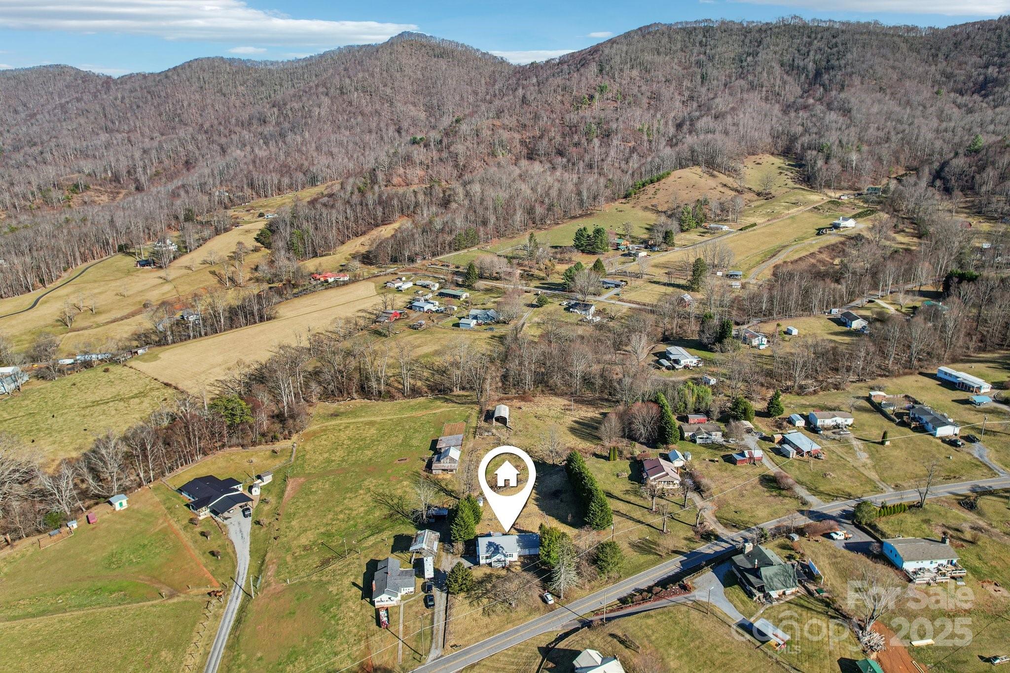 5133 Dutch Cove Road Canton, NC 28716 - Photo 36 of 43