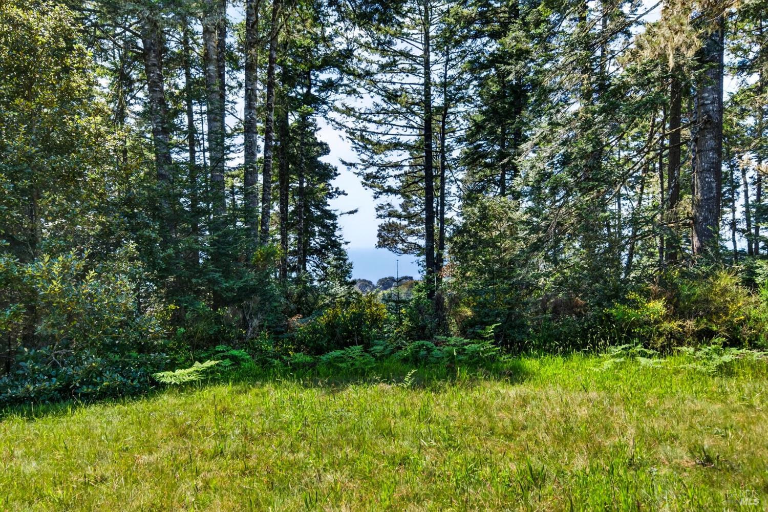 10390 Hills Road Mendocino, CA 95460 - Photo 39 of 43