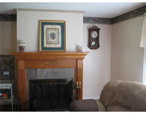 26 Gearing Road Monongahela, PA 15063 - Photo 9 of 18 Living Room. Beautiful wood, log buring fireplace in living room.