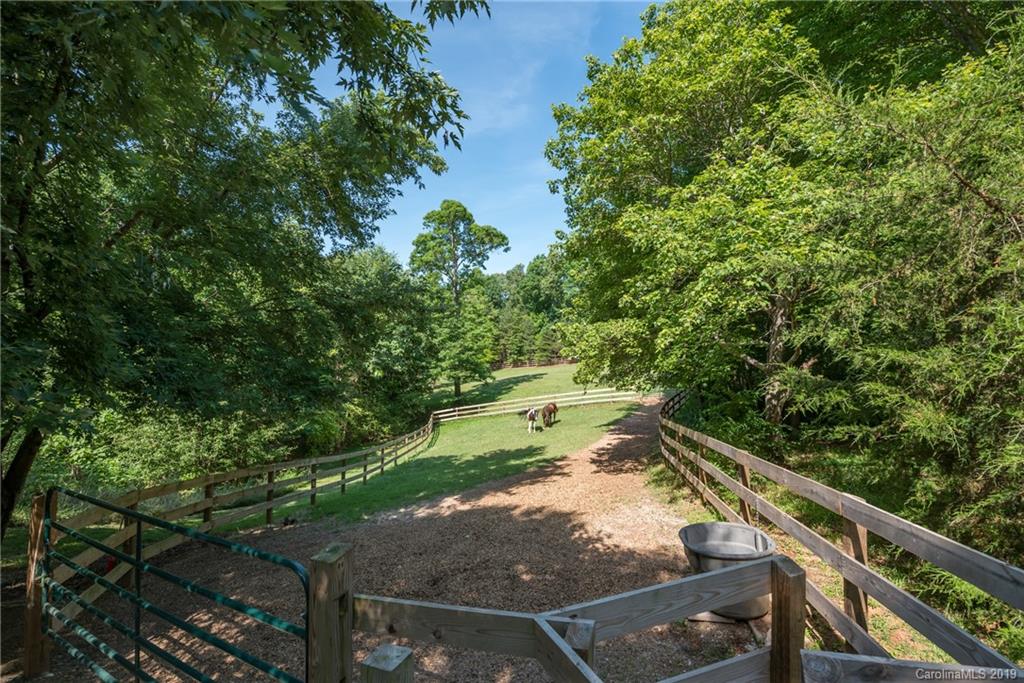 1790 Red Fox Road Tryon, NC 28782 - Photo 27 of 40 a view of a yard with plants