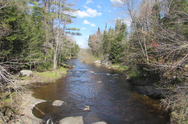 205 North Road Howland, ME 04448 - Photo 15 of 37 IMG_2354