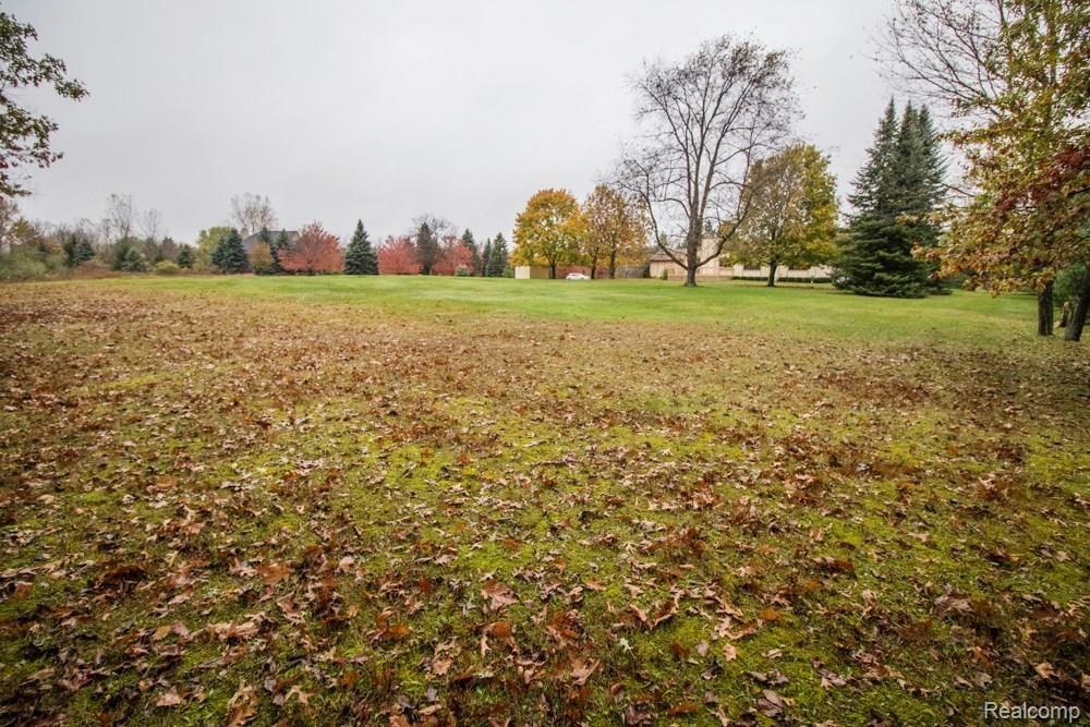 9466 Bergin Road Howell, MI 48843 - Photo 42 of 42 IMG_6384.jpg