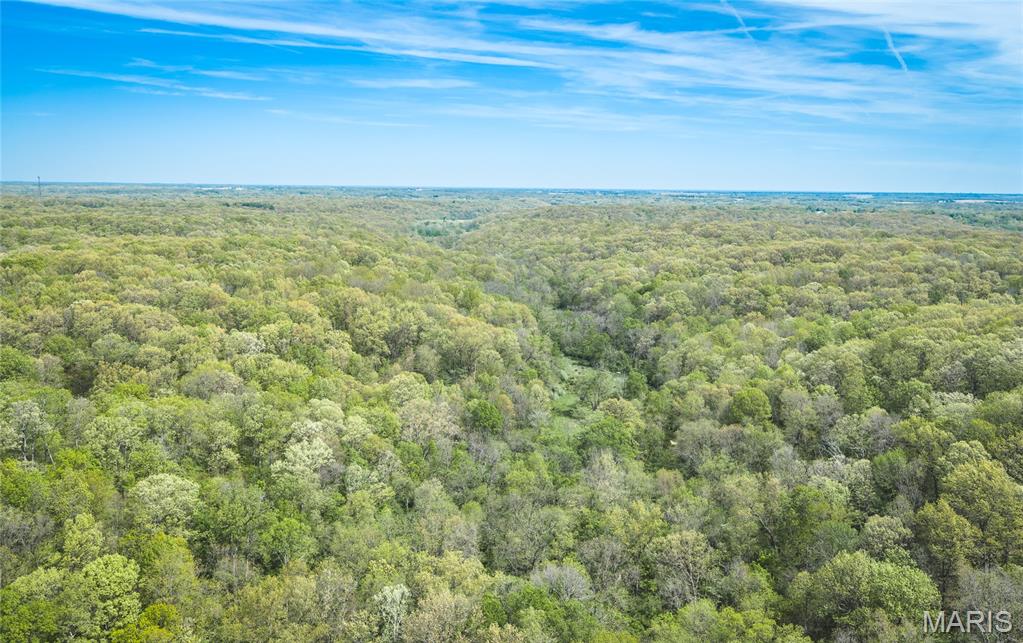 17816 Powerline Road Grafton, IL 62037 - Photo 11 of 47