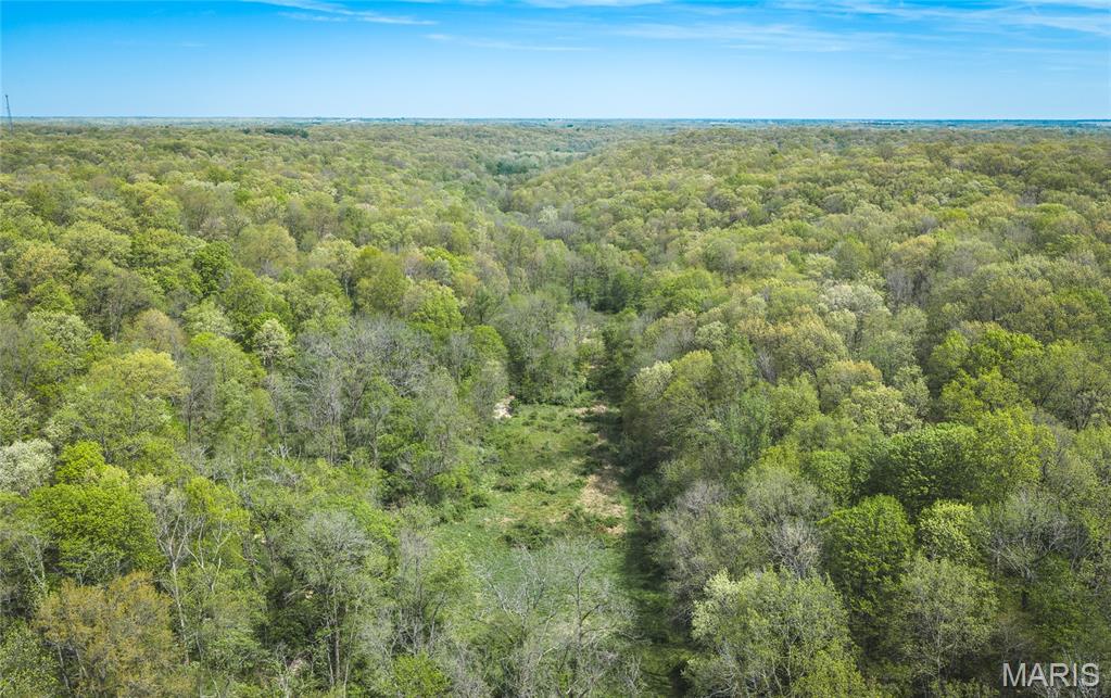 17816 Powerline Road Grafton, IL 62037 - Photo 15 of 47