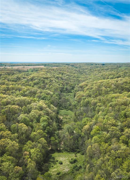 17816 Powerline Road Grafton, IL 62037 - Photo 17 of 47