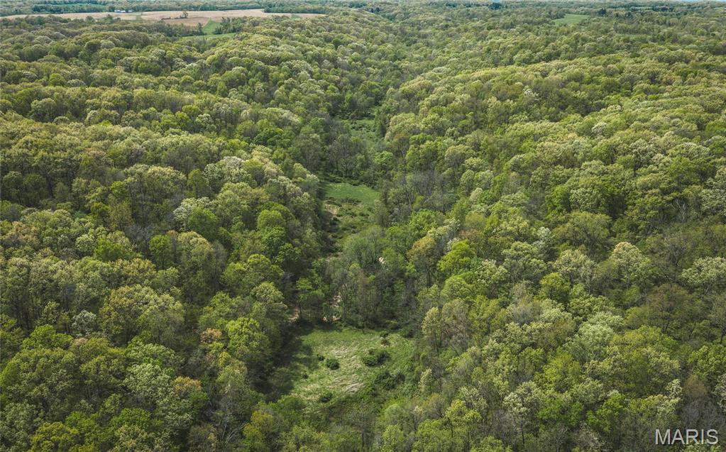 17816 Powerline Road Grafton, IL 62037 - Photo 18 of 47